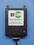 Sycom has protected homes and businesses around the world. Don't lightning damage the things that matter most to you.